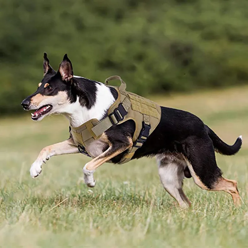 Adjustable German Shepherd Tactical Dog Harness Vest With Handle Clearance